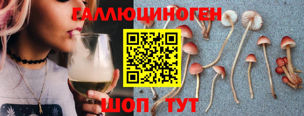Тихвин  Псилоцибиновые грибы GOLDEN TEACHER  Псилоцибиновые грибы Psilocybine cubensis  Вход с VPN 